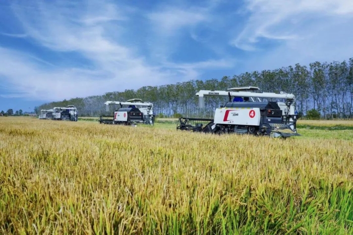 18d7188a16de45d686a8333854f15636