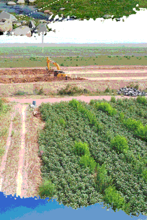 6b18bcc62c6d4ec5b6732a2d3f66a1df