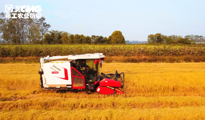 5db1c39f489843c994ea166b41fc13bc