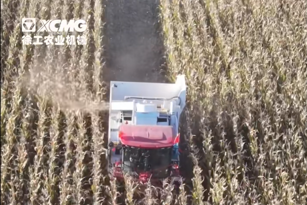 09875fc2f05c4e7db6548310454996fb