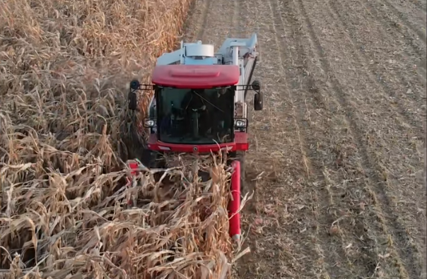 c075bec3d51a47849c3ba180cf5d8bca