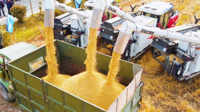 6a7d6c71c9f0448484883455f5cc76ab